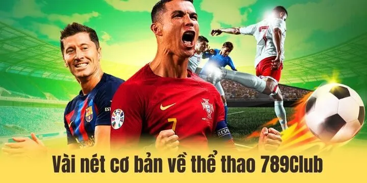 Thể thao 789Club - Sảnh cược đình đám cùng thưởng khủng 2 Vài nét cơ bản cần biết về sảnh cược thể thao 789Club